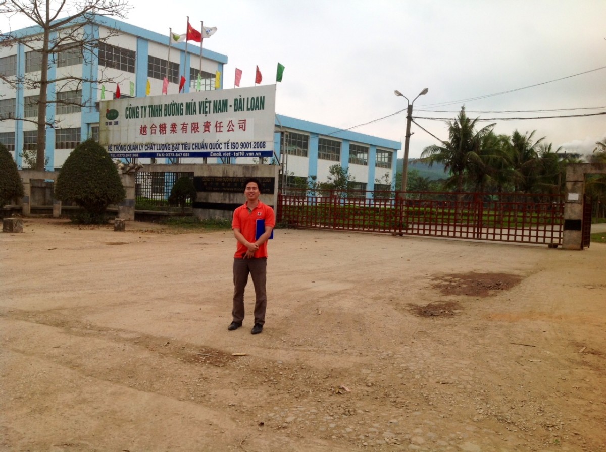 Mía đường VN - DL